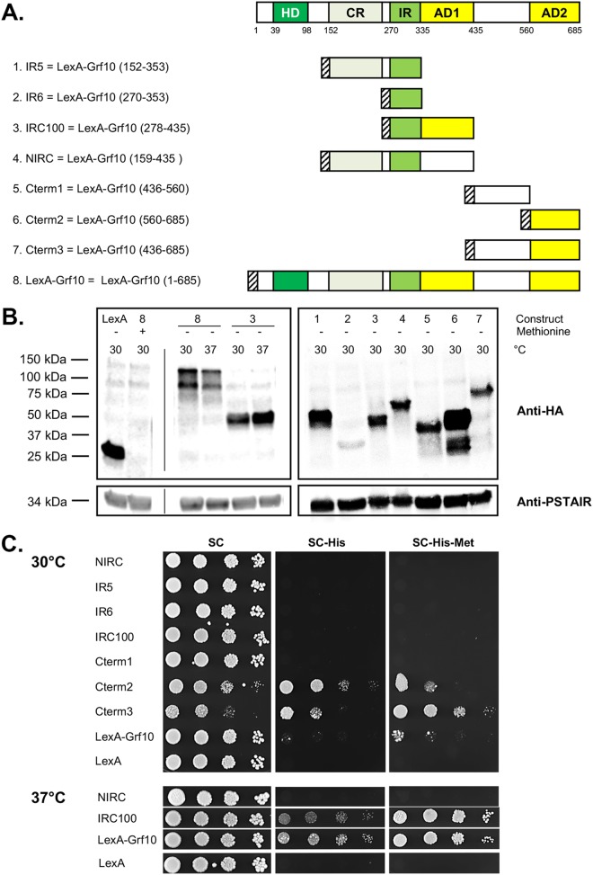 FIG 2