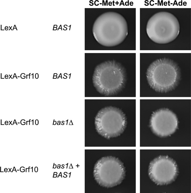 FIG 6