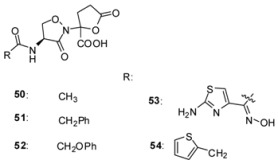 graphic file with name molecules-17-12478-i004.jpg