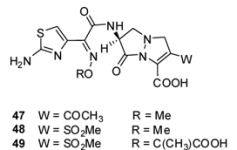 graphic file with name molecules-17-12478-i003.jpg