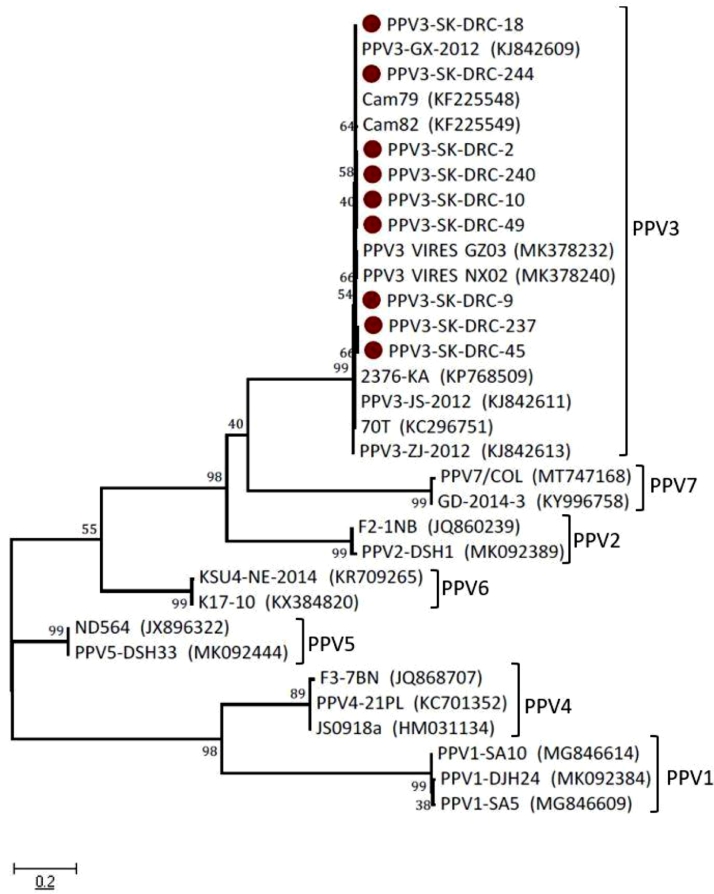 Fig 3