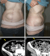 Fig. 4.