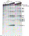 Figure 7 |