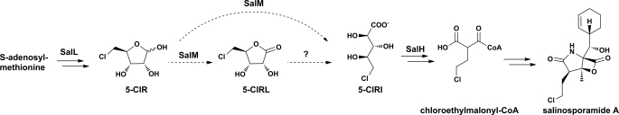 FIGURE 1.