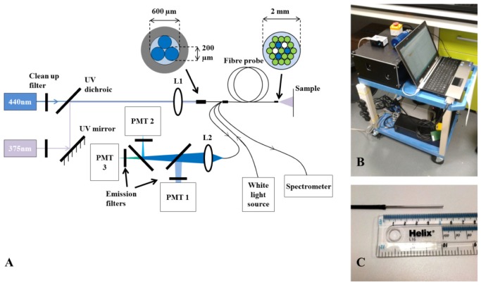 Fig. 1