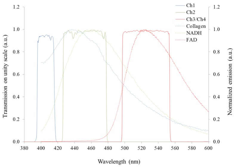 Fig. 2