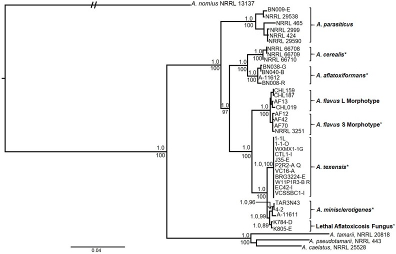 Figure 1