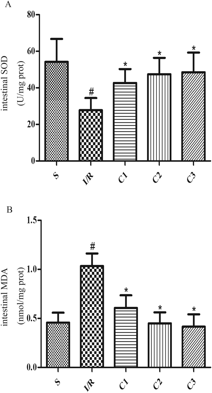 Fig. 5