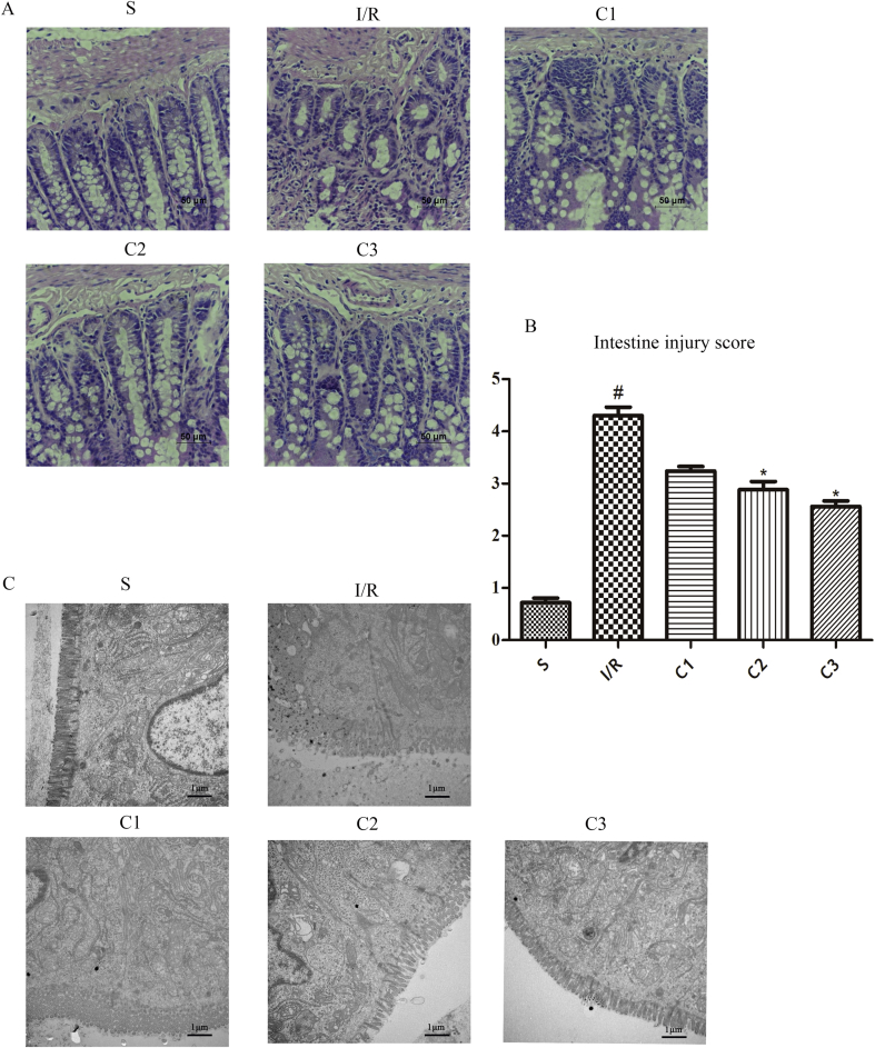 Fig. 2