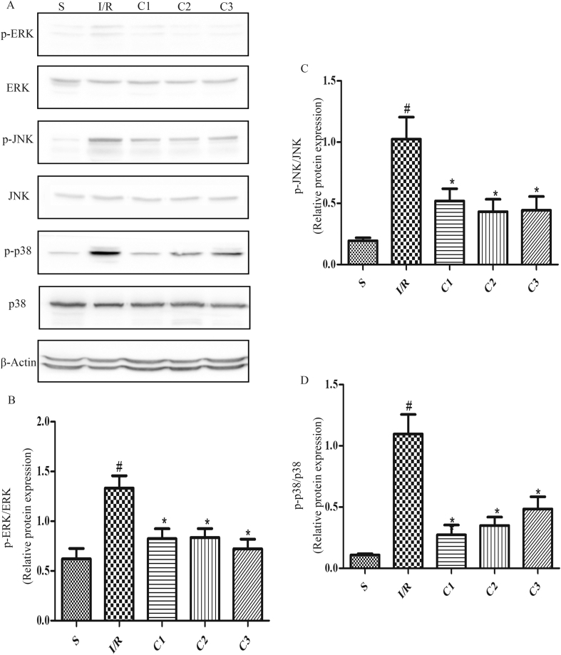 Fig. 7