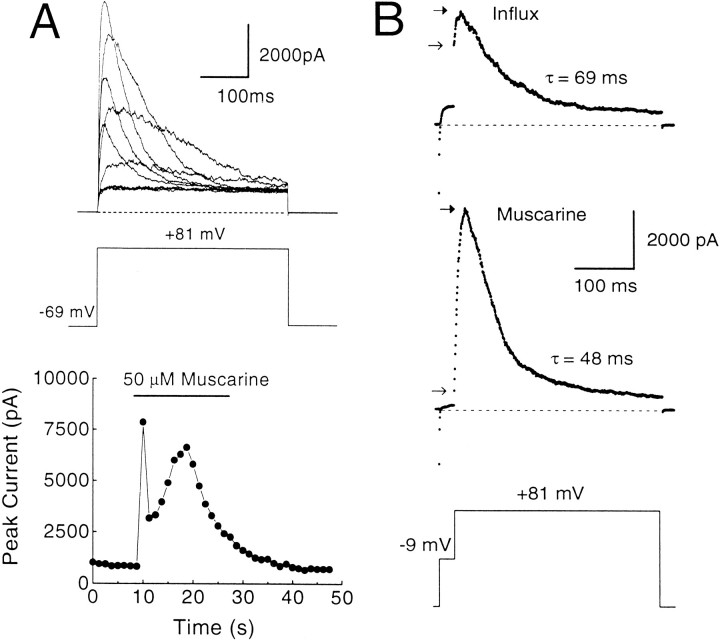 Fig. 10.