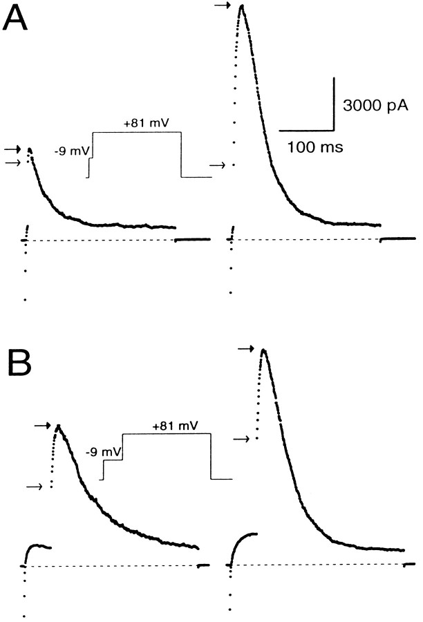 Fig. 11.