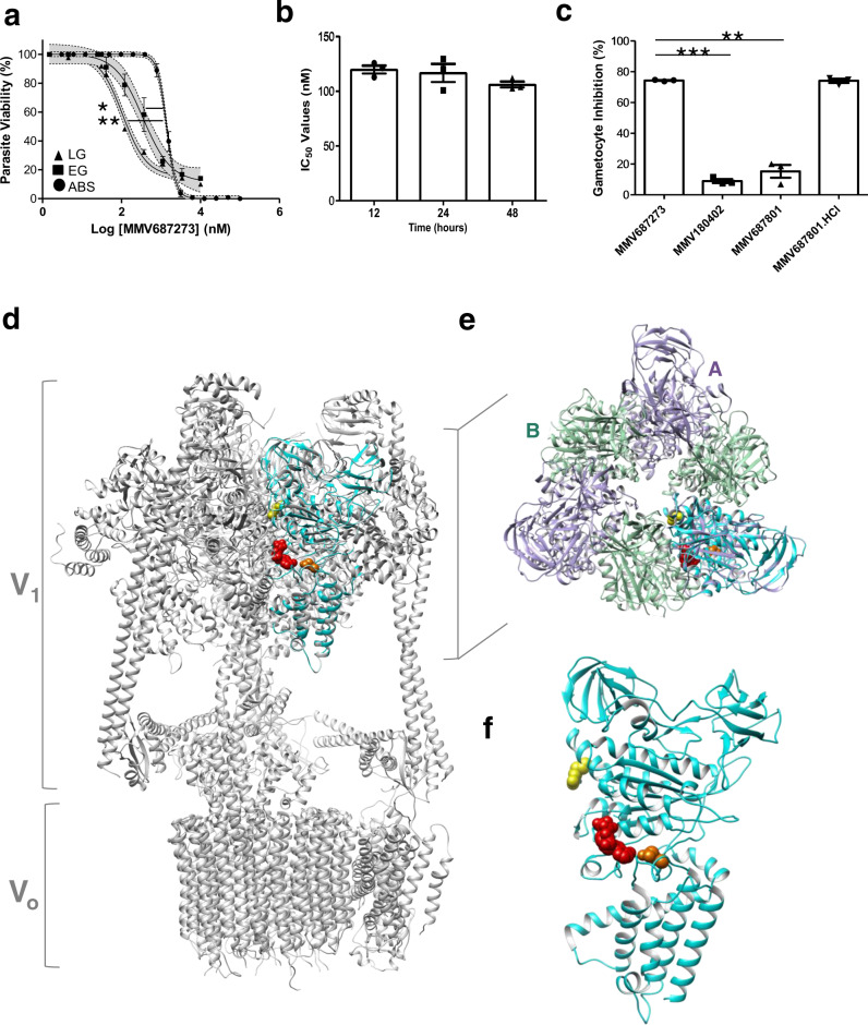 Fig. 7