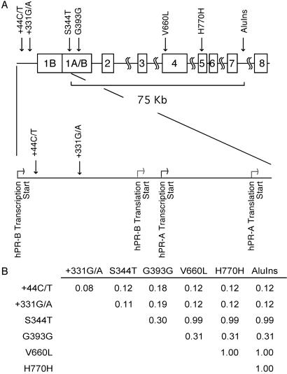 Fig 1.