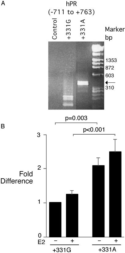 Fig 2.