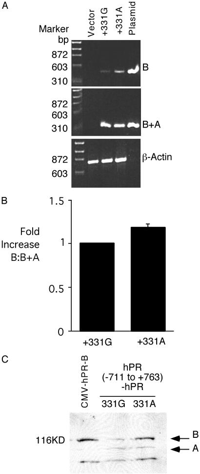 Fig 3.