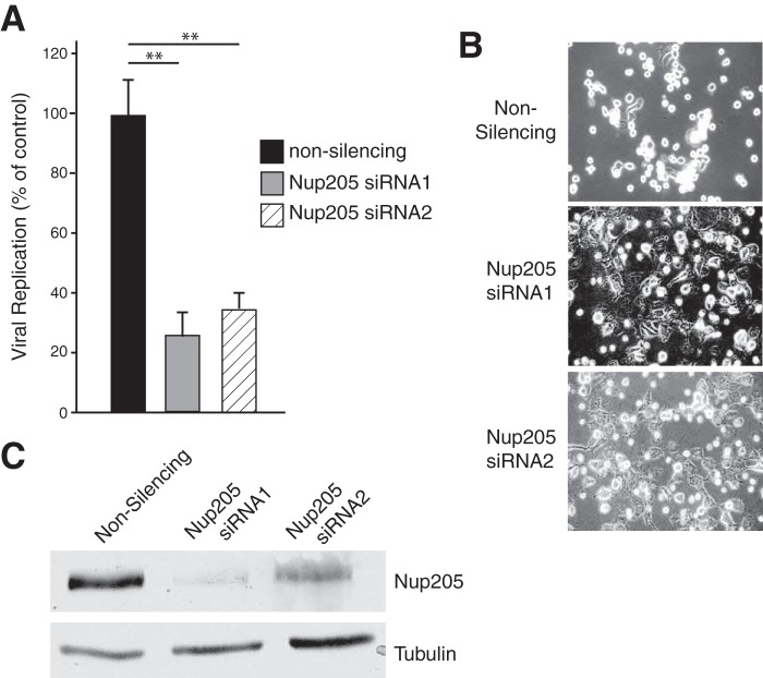 FIG 9