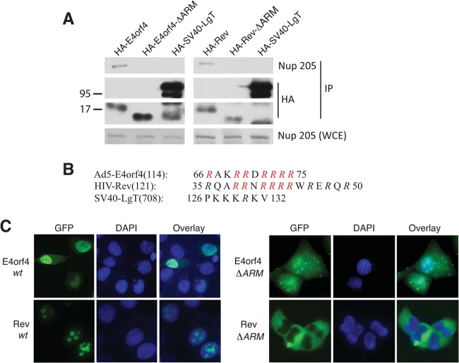 FIG 3