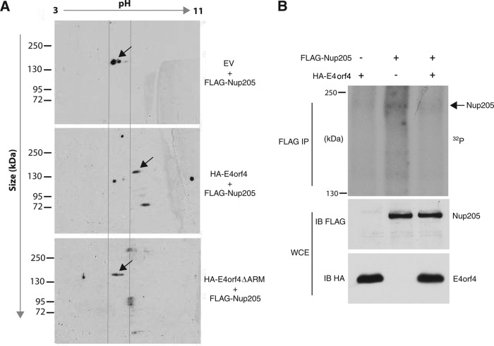 FIG 7