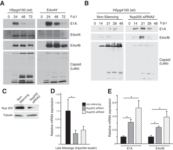 FIG 8