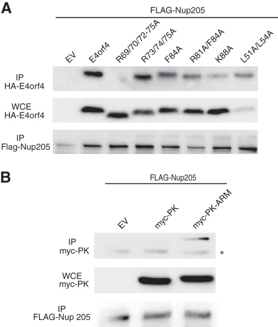 FIG 2