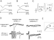 Fig. 10.
