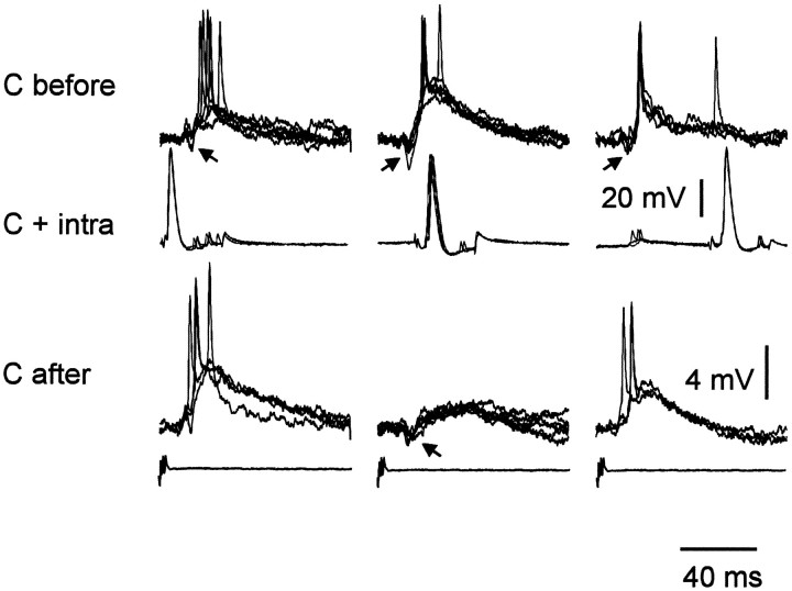 Fig. 6.