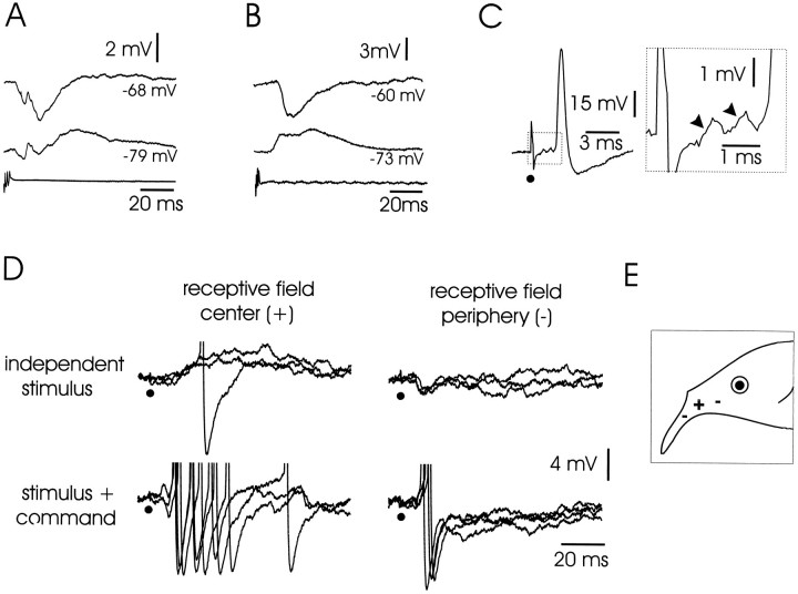 Fig. 10.