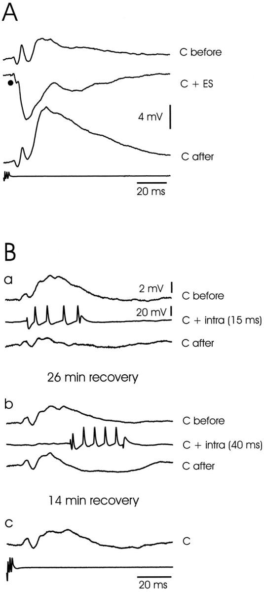 Fig. 9.