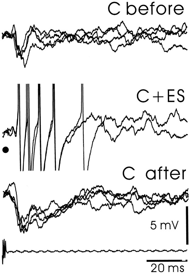 Fig. 11.