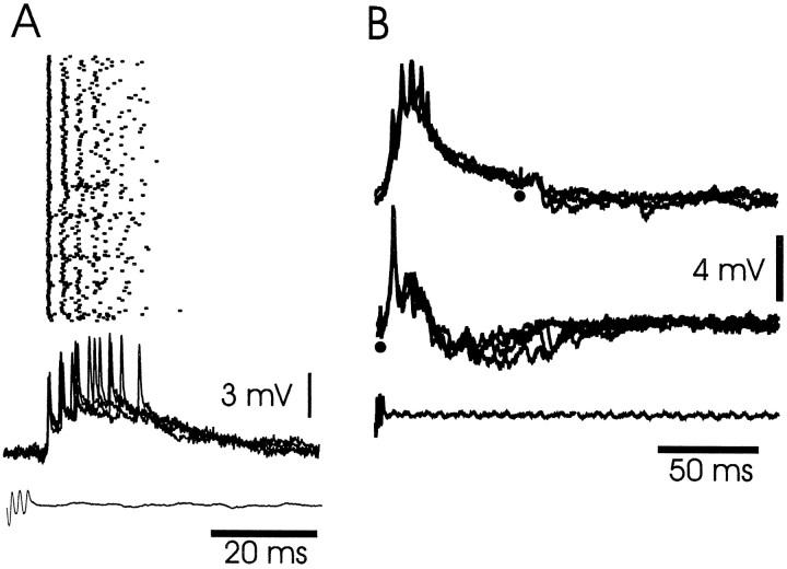 Fig. 12.