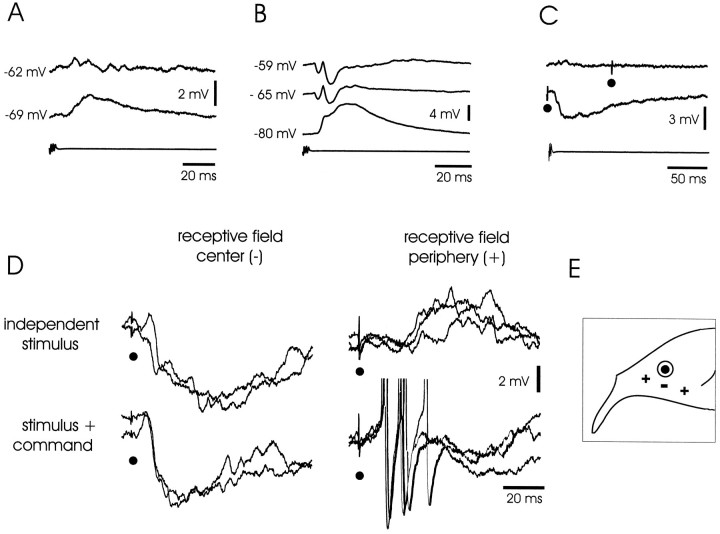 Fig. 7.