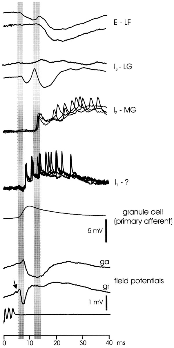 Fig. 13.