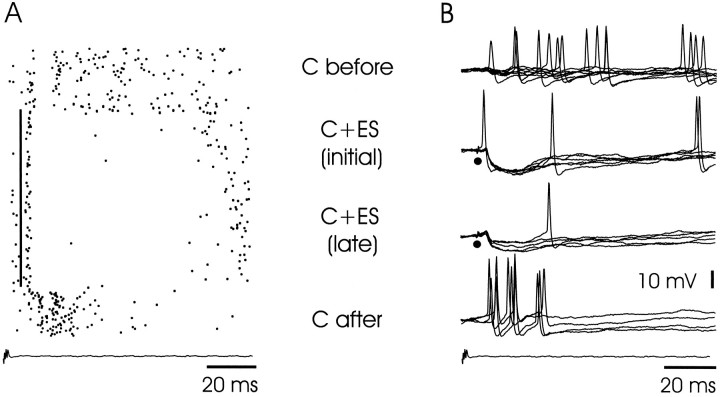 Fig. 8.