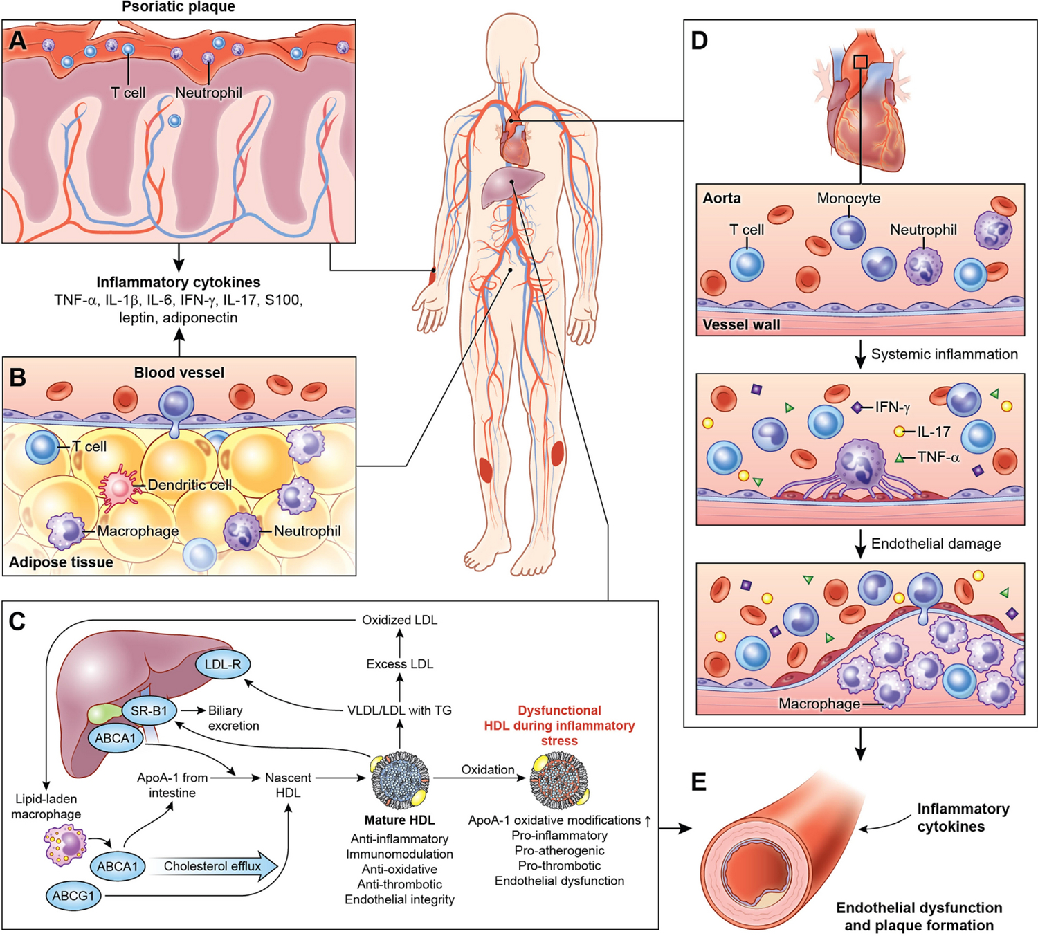 Figure 4: