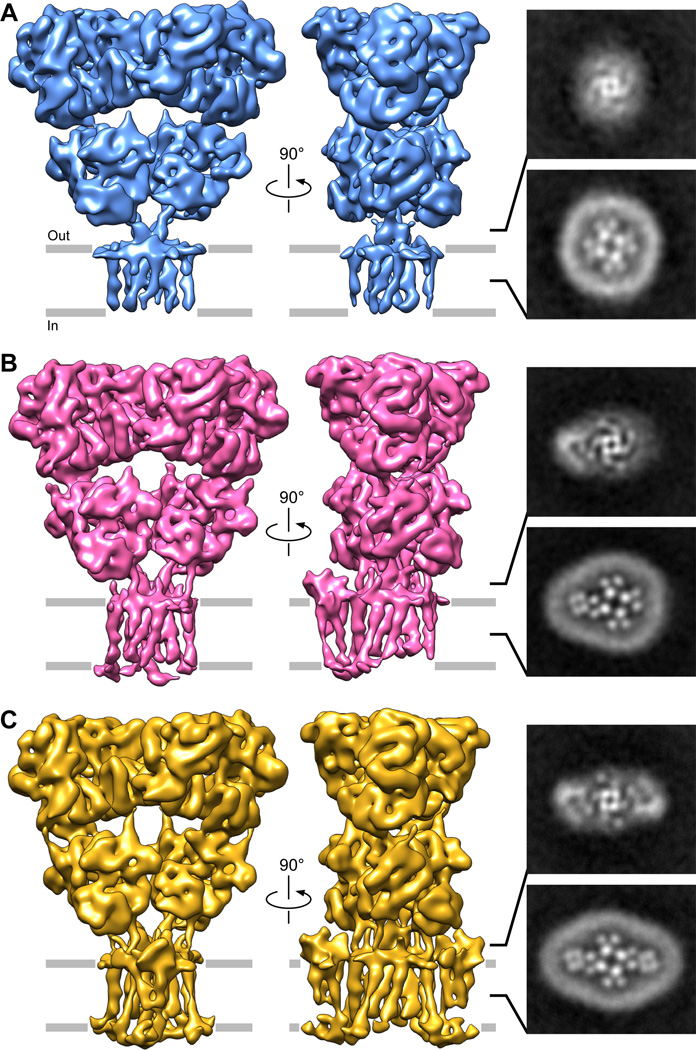 Fig. 2