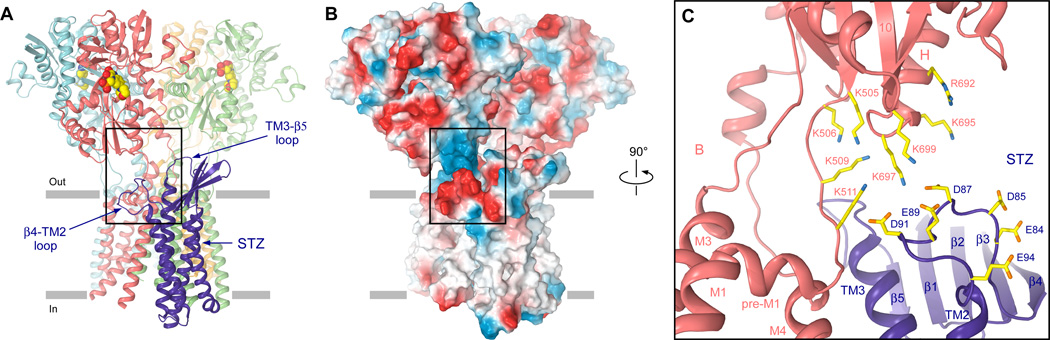 Fig. 4