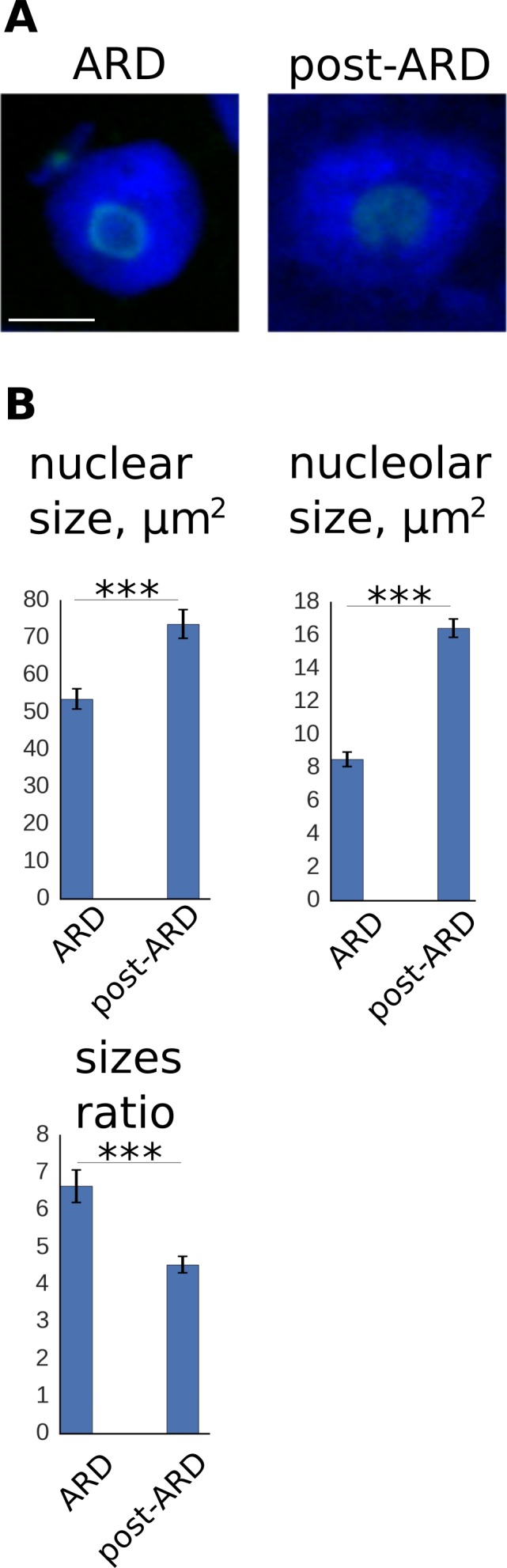 Figure 4—figure supplement 1.