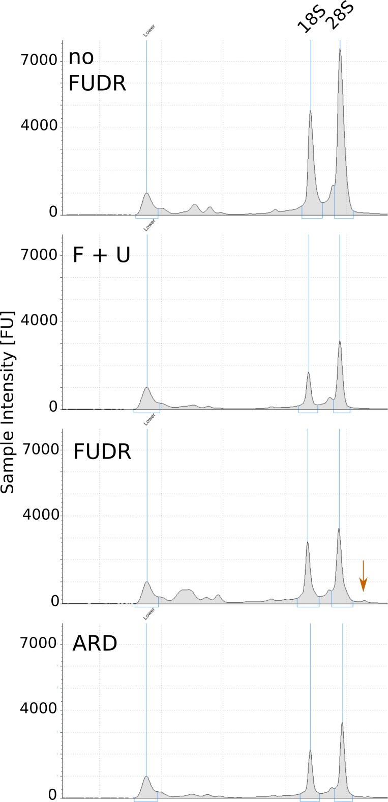 Figure 5—figure supplement 1.