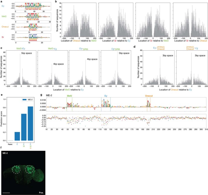 Extended Data Fig. 4