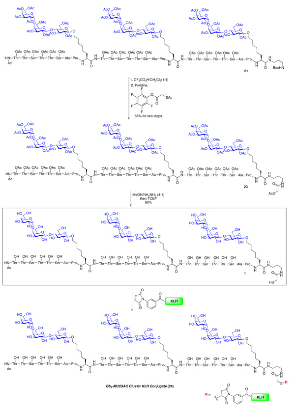 Scheme 4