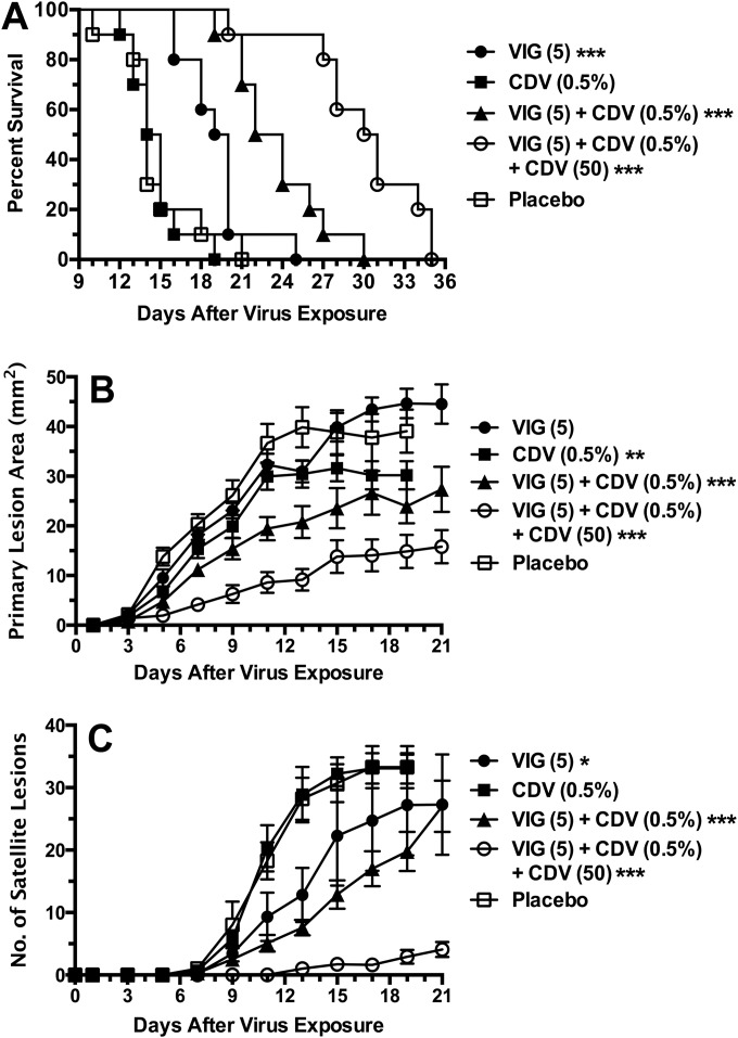 FIG 2