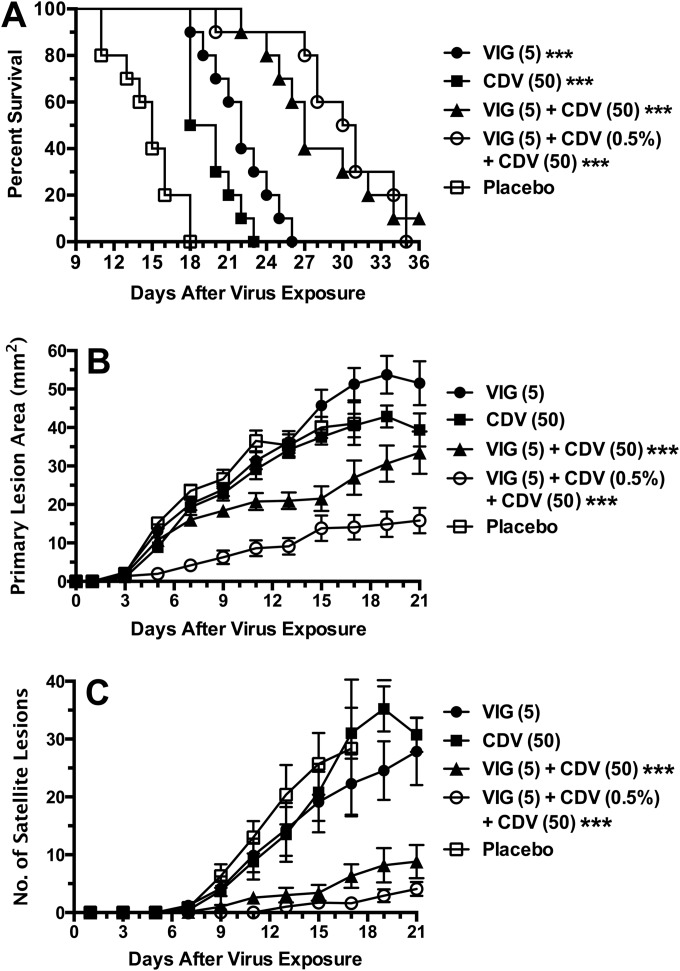 FIG 3