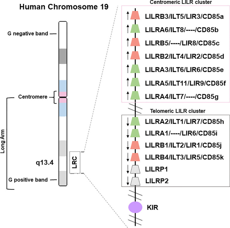 Figure 1