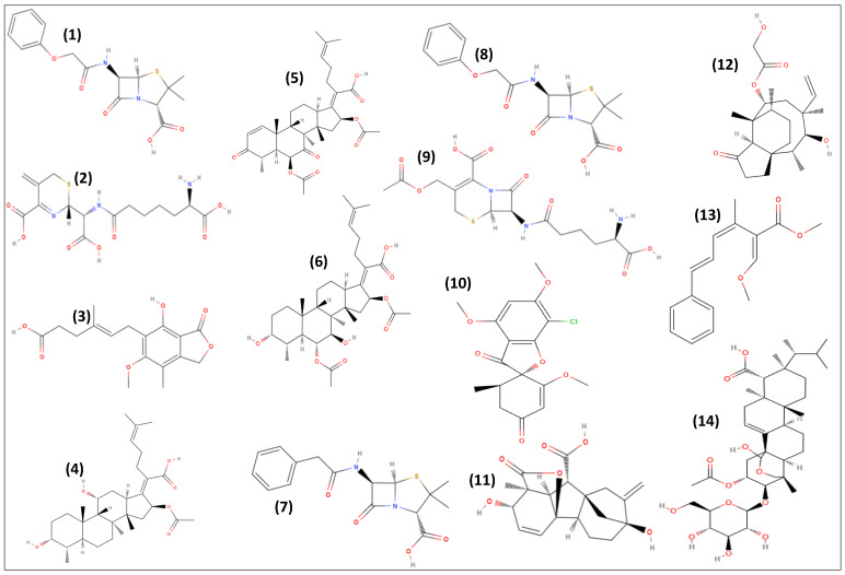 Figure 4