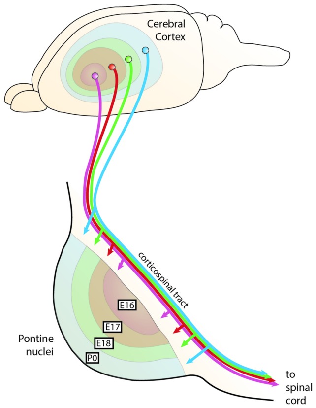 Figure 9