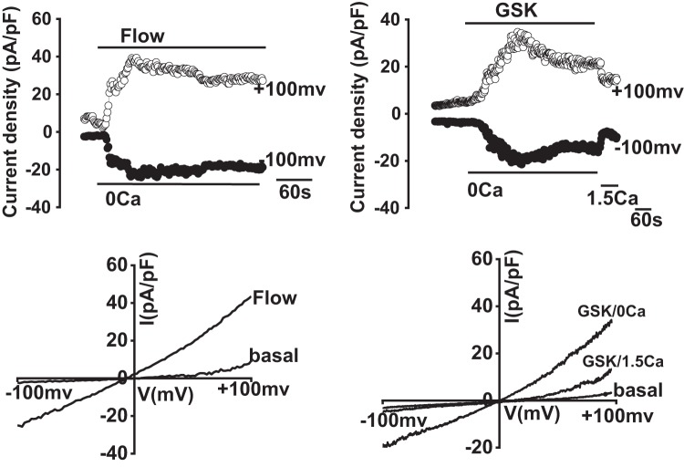 Fig. 7.