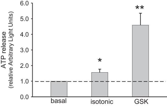 Fig. 9.