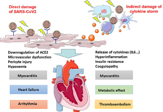 Image, graphical abstract