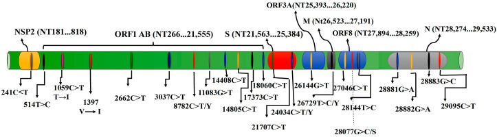 Fig. 6